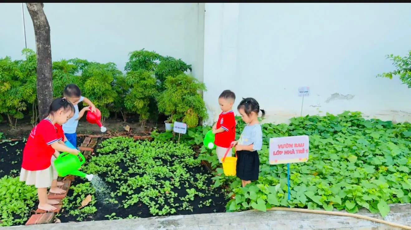 TRƯỜNG MẦM NON THỎ NGỌC